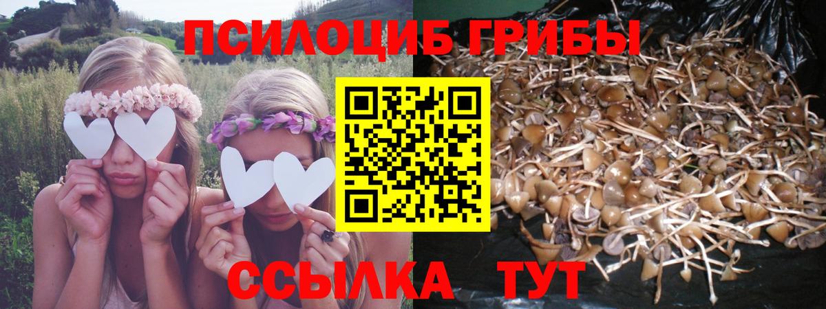 закладки  Псилоцибиновые грибы MAGIC MUSHROOMS  Вход с VPN  Орехово-Зуево  Псилоцибиновые грибы MAGIC MUSHROOMS 